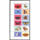 St. Maarten 2012 01 Vlinders